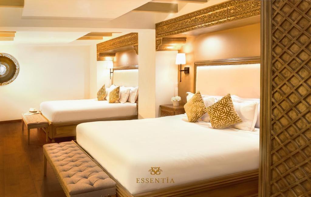 סאן מיגל דה אלנדה The Essentia Hotel San Miguel מראה חיצוני תמונה