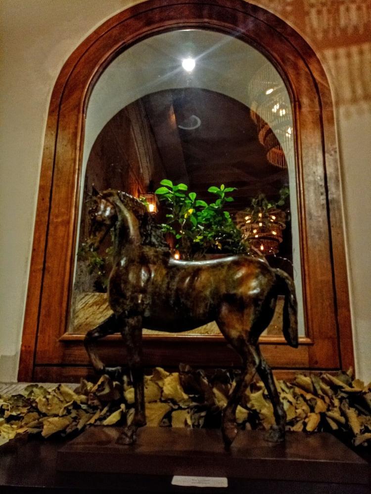סאן מיגל דה אלנדה The Essentia Hotel San Miguel מראה חיצוני תמונה